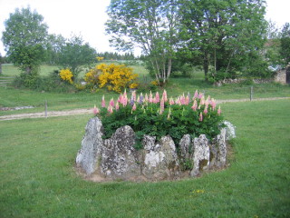 jardin